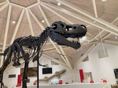 コウノトリ但馬空港