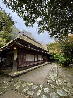 女ひとり旅　観光タクシーで秘境を巡る　２日目①　大歩危駅から紅葉のひの字渓谷