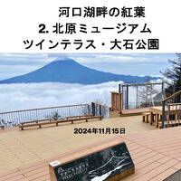 河口湖畔の紅葉 富士山が見えなくても Part2. 北原ミュージアム・ツインテラス・大石公園 