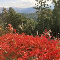 家族で紅葉の福島ドライブ１　過酷なあぶくま洞探検と露天風呂付客室が激安の宿