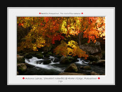 ◆あぶくま高地～錦秋の山鶏滝渓谷　