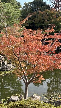 熱田神宮と白鳥庭園～～初秋のお散歩