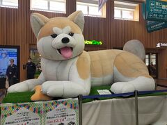 ☆ 16回目 大人の休日倶楽部 パス 青森 八戸 秋田 黄金崎 宇都宮 ☆ 秋田 編 No. 3