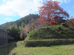 会社OB歩こう会でお土居巡り～京都北部他