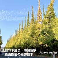 24年の時を越えて  原宿竹下通り・南国酒家・絵画館前の銀杏並木 2024.11.13