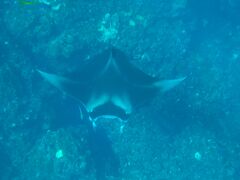 クラブメッド石垣島 11月 1週間 ひとり旅 2