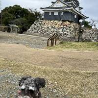 犬旅～静岡県・浜名湖編～