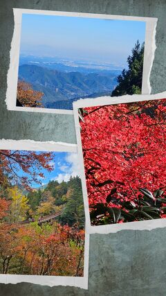 奥多摩で紅葉狩り