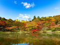 用作公園の紅葉　2024