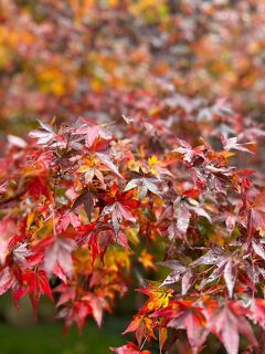 小松で家族旅行