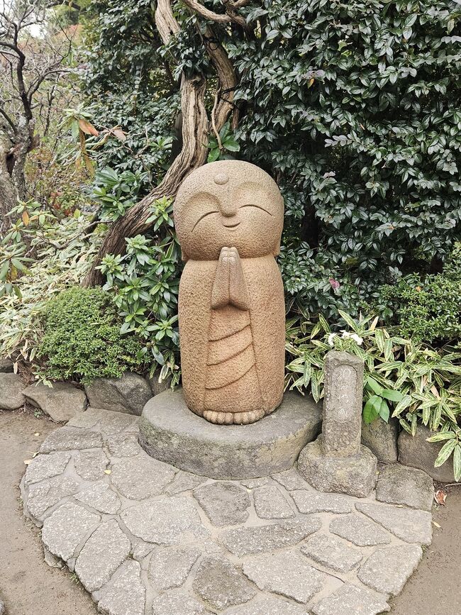 娘を神奈川に送る用事があり、そのまま鎌倉観光してみました。<br />見所がたくさん!<br />江の電にのって長谷駅辺りを楽しんだ記録です。