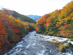 栃木の旅〈１〉紅葉の日光☆竜頭の滝・湯滝・湯元温泉散策など