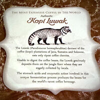 約四半世紀（24年）ぶりの「ジャカルタ・ノスタルジー」（懐かしのサリナ、スカイラインビル、コピールアック／ジャカルタ／インドネシア）