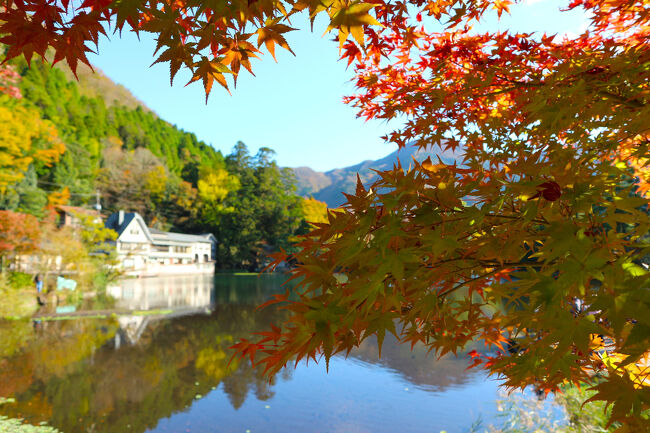紅葉の湯布院へ!<br />九州でも人気の観光地、湯布院はどの時期に訪れても世界中の観光客で賑やか。主な観光だけなら半日でも街歩きが出来るので食べ歩きやグルメが好きな方にもぴったり。<br />グルメも大好きだけど私が湯布院を訪れる理由は、ちょっと外れると自然を感じる街歩きができること。<br />綺麗な川の水、奥には由布岳、時間を忘れてのーんびり散歩したい街。<br /><br />大分県の紅葉が綺麗だったので、耶馬溪や青の洞門へも観光してきました。<br /><br />5回目の湯布院旅、はじまり~ ( ´ ▽ ` )/