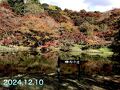用作公園(ゆうじゃく)に紅葉を見に行ってみる
