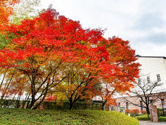 いいちこ日田蒸留所