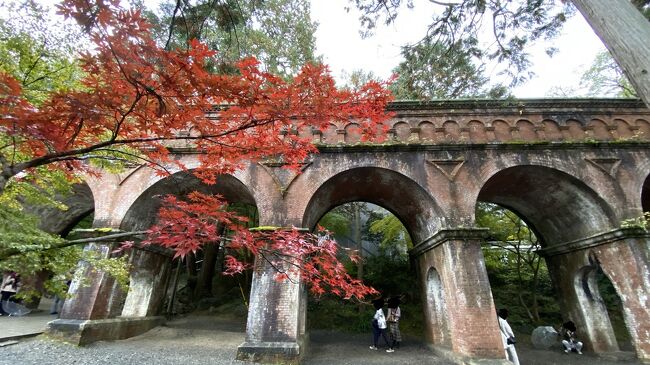 京都の紅葉の時期に2連休が入り、ちょうど見頃ということで、それなら京都の紅葉を見に行こうと決断。<br />何度か見たことあるけど、赤が多い紅葉は何回見ても圧巻です。<br />初めて見る所は、紅葉トンネルです。<br />1日目 仕事終わりに夜便で神戸へ<br />2日目 京都観光<br />3日目 神戸観光 14時頃まで<br />残念ながら京都観光の日は、お昼から雨予報。<br />天気予報がはずれそうにもなく雨を覚悟して、お気に入りのお寺をまわって来ました。<br /><br />