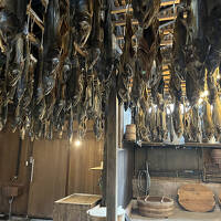 清津峡の紅葉と村上の鮭が食べたい　2