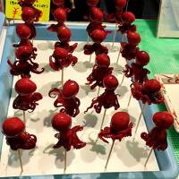 京都２日目：京都御苑は交通の要？奇跡の錦市場ランチに鴨川ラン