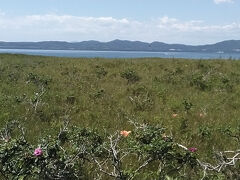 ようこそ北海道へ