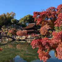 恵那峡、永保寺で紅葉狩り　2024年11月