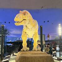 初めての福井二日目は恐竜博物館