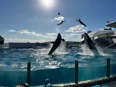 ３世代鴨川旅行①