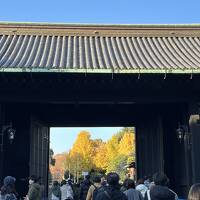 冬の東京をぶらぶら １２月前編