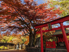 猿橋の紅葉