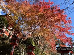 まだ間に合う！紅葉ピークの鞍馬から貴船までハイキング