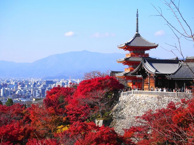 最盛期を迎えた紅葉を目指して京都へ<br /><br />今回もソロ旅、<br />恒例のらーめんも頂きました。<br /><br />~・~・~・~・~・~・~・~・~<br />◎他の京都の旅はこちら↓<br /><br />・桜を愛でる旅 ~京都~<br />https://4travel.jp/travelogue/11477395<br /><br />・桜を愛でる旅 2023 ~京都~<br />https://4travel.jp/travelogue/11819317<br /><br />・桜を愛でる旅 2024 ~京都~<br />https://4travel.jp/travelogue/11898329