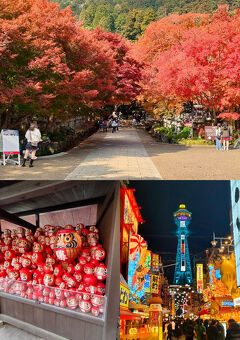 紅葉とエネルギッシュな大阪へ！後編　夜の新世界、紅葉の勝尾寺、OMO7大阪 by 星野リゾート編