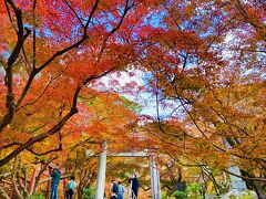 太宰府へ紅葉めぐり (^^) 竈門神社 ～ 光明禅寺 ～ 太宰府天満宮 ～ 九州国立博物館