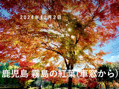 鹿児島 霧島の紅葉 & 車窓から 2024.12.2