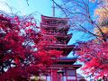 本土寺の紅葉&#127809;