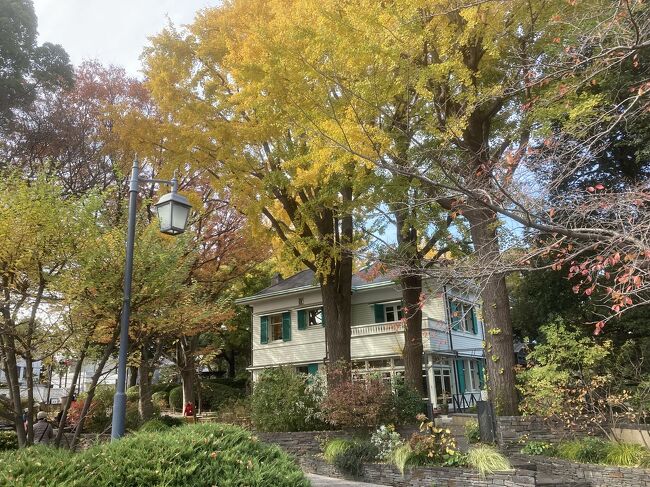 早いものでもう12月。<br />もうすぐクリスマスということで、横浜山手西洋館で開催中の世界のクリスマスを見に行って来ました。<br />この3年は長野暮らしだったので、4年ぶりの横浜西洋館巡り。<br />久々で感動的ではあったのですが、以前よりクリスマスの飾りつけが質素になった気がしました。<br />西洋館巡りのあとは、中華街でお気に入りの慶華飯店でのランチ。<br />最後は日本大通りや山下公園通りの銀杏並木を巡って帰って来ました。