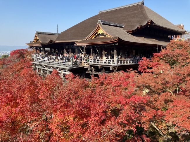 2024年12月3日 火曜日 紅葉最盛期に行きました。今年はのべ9回目の清水寺です。<br />今年の最盛期は12月1.2日でそこから1週間見頃と言う感じ。<br />今年は桜が1週間から10日遅れだったのでそれに合わせた感じ。<br /><br />最低気温 7.2℃ 最高温度18.7℃ 晴れ<br />日の出 6:49 日没16:45<br /><br /><br />・毘沙門堂<br />・山科聖天<br />・大日堂<br />・清水寺<br />・大河内山荘(嵐山)<br /><br /><br />※使用機材・・・会社の携帯 iPhone SE<br />※殆どの写真露出補正掛けてます。<br />※Youtube見ていたら大河内山荘を撮っている映像が有り今回は東山から2時間かけて嵯峨に回りました。<br />