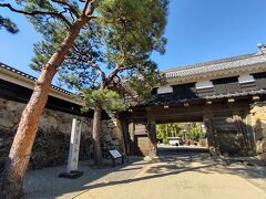 よっちょれよ高知 まずは何はともあれひろめ市場と高知城へ