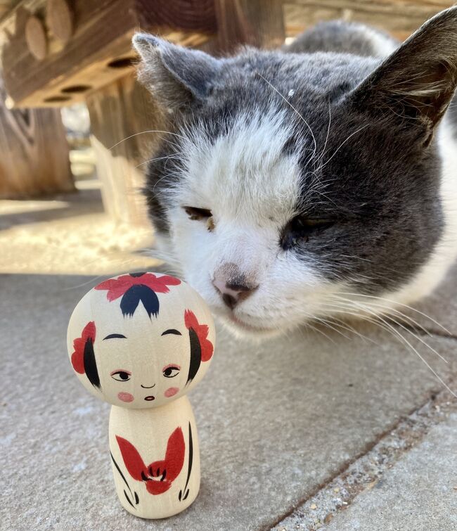 ぼーちゃんと動物の旅　2024