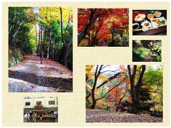 古より紅葉の名所として歌に詠まれた小倉山と春日山の山麓を歩く