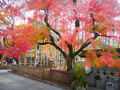 今年の納（修）め来年の（善）き年を願い（寺）参り