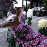 奈良の街歩きは三条通から。いつものコースです。