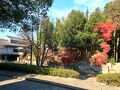 古河歴史博物館(茨城県古河市)へ・・・