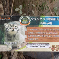2022年12月 神戸どうぶつ王国へ旅行