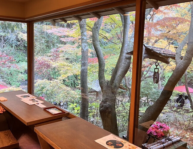 北鎌倉の明月院で紅葉狩りをした後、鎌倉に移動して一条恵観山荘でも紅葉狩りをしました。<br /><br />明月院で紅葉狩り<br />https://4travel.jp/travelogue/11947516<br /><br />紫陽花の時期の一条恵観山荘<br />https://4travel.jp/travelogue/11909891