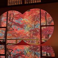 紅葉京都一人旅、観光客で溢れる京都の歩き方♪