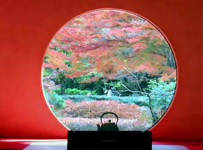 天気の良い日に、鎌倉の紅葉めぐり。 前編<br />いつもの北鎌倉駅からスタート。<br />今年の紅葉は夏の猛暑のせいか遅い。鎌倉の紅葉もそろそろ見ごろ。<br />今年のコースは、昨年と同様、源氏山経由のコースを選択した。<br />紅葉は期待通り、人出も少なく、十分に楽しめた。<br /><br /><br />前編 北鎌倉駅ー円覚寺ー明月院ー東慶寺ー浄智寺ー源氏山ー海蔵寺ー不動茶屋<br />https://4travel.jp/travelogue/11947928<br />後編 不動茶屋ー鶴岡八幡宮ー一条恵観山荘ー報国寺ー旧華頂宮邸ー鎌倉駅<br />https://4travel.jp/travelogue/11948059<br /><br />古都鎌倉 紅葉巡り グループ<br />https://4travel.jp/travelogue_group/54039<br />古都鎌倉 グループ (紅葉以外)<br />https://4travel.jp/travelogue_group/13003