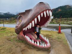 2024年12月 どこかにビューーン！で4歳児と北陸4県に行ってきた②【福井・富山編】