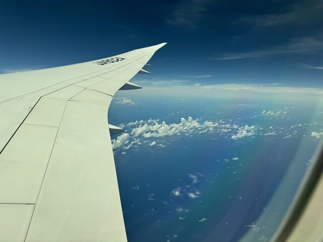 4月に続いて、NH847、NH848でバンコクに行ってきました、<br />相変わらずの搭乗記で恐縮ですが、まずは往路をどうぞ。<br /><br />★《往路》<br />24/07/13 NH847 羽田(東京)10:50発 バンコク 15:30着 31K(Y)<br />《復路》<br />24/07/15 NH848 バンコク 09:35発 羽田(東京) 18:00着 27A(Y)<br /><br />《訪問ラウンジ》<br />★【羽田国際空港】<br />・ANAスイートラウンジ(第2ターミナル)<br />【スワンナプーム国際空港】<br /><国際線コンコースD><br />・The Coral Finest Business Class Lounge<br />・THAI Royal Silk Lounge<br />・SILVERKRIS LOUNGE<br /><国際線コンコースF><br />・EVA AIR LOUNGE<br />《宿泊》<br />・ダブルツリー by ヒルトン バンコク プルンチット 7/13<br />・ヒルトン ガーデンイン バンコク シーロム 7/14<br />