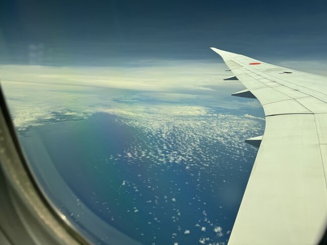 4月に続いて、NH847、NH848でバンコクに行ってきました、<br />相変わらずの搭乗記で恐縮ですが、復路をどうぞ。<br /><br />《往路》<br />24/07/13 NH847 羽田(東京)10:50発 バンコク 15:30着 31K(Y)<br />★《復路》<br />24/07/15 NH848 バンコク 09:35発 羽田(東京) 18:00着 27A(Y)<br /><br />《訪問ラウンジ》<br />【羽田国際空港】<br />・ANAスイートラウンジ(第2ターミナル)<br />★【スワンナプーム国際空港】<br /><国際線コンコースD><br />・The Coral Finest Business Class Lounge<br />・THAI Royal Silk Lounge<br />・SILVERKRIS LOUNGE<br /><国際線コンコースF><br />・EVA AIR LOUNGE<br /><br />《宿泊》<br />・ダブルツリー by ヒルトン バンコク プルンチット 7/13<br />・ヒルトン ガーデンイン バンコク シーロム 7/14<br />